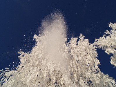Frozen