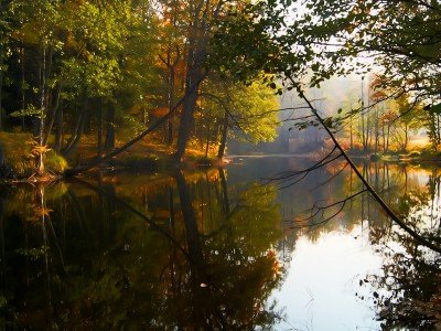 Раннее утро в Стеклянной Радице