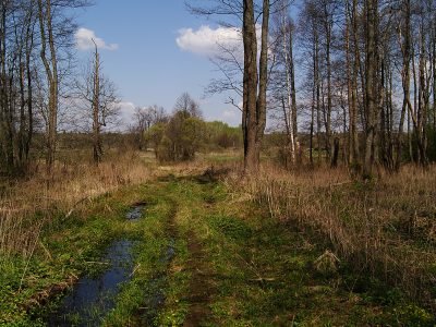 В поисках «35-го квартала»