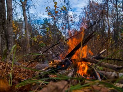 Орлова грязь и прочие лесные радости