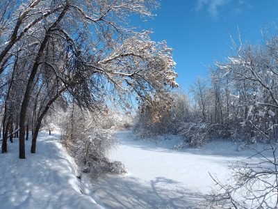 Снежеть в снегу
