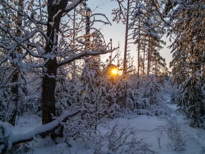 Февральский рассвет