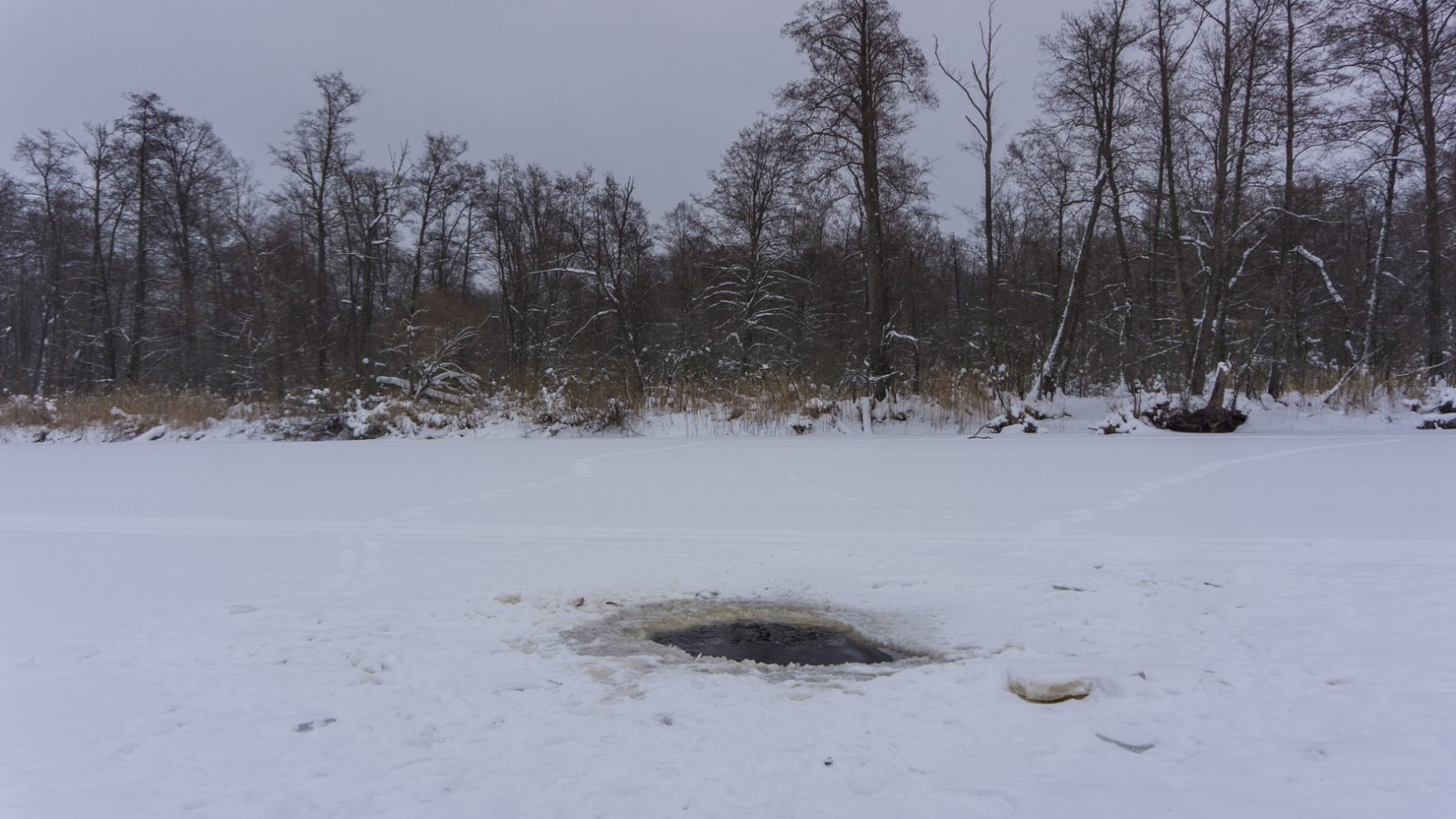 Лёд на озере больше 20 сантиметров, местные рыбаки поддерживают несколько прорубей для предотвращения замора рыбы. 