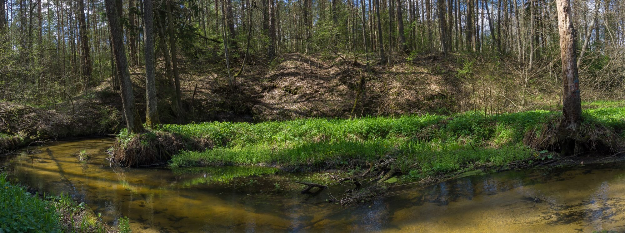 Балтский курган на берегу речки