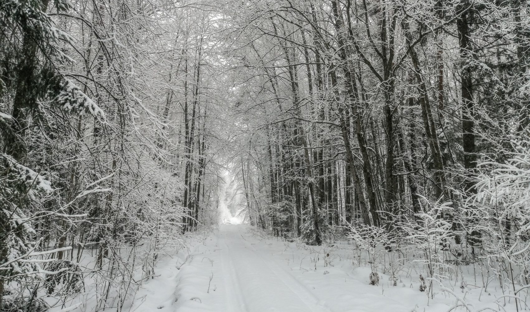 Тоннель в зиму